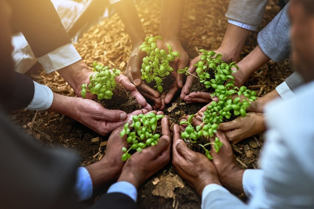 Cropped shot of a diverse group of businesspeople holding plants growing out of soil